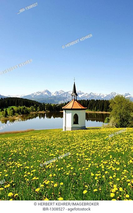 Chapel at Lake Hegratsrieder near Buching, East Allgaeu, Allgaeu, Bavaria, Germany, Europe