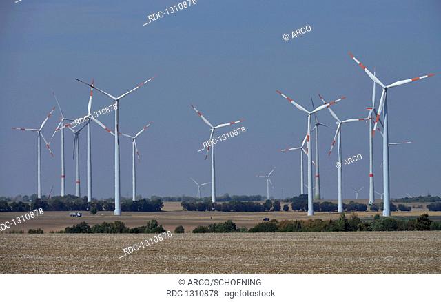 Windenergiefeld, Magdeburger Boerde, Sachsen-Anhalt, Deutschland