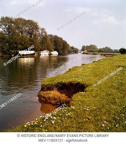 Riverbank with daisies, West Berkshire. A stretch of unidentified river, with boats moored on the far bank and a lock gate in the distance