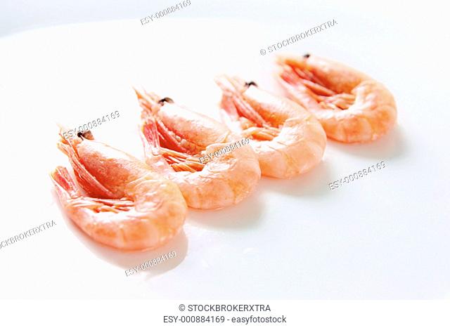 Image of tasty shrimps lying in row over white background