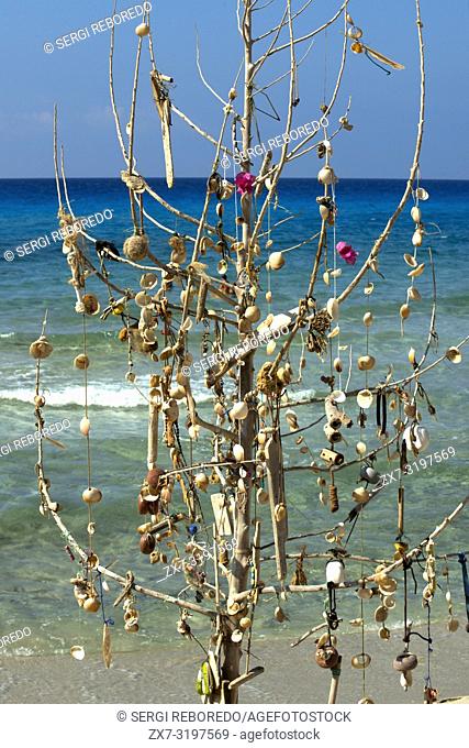 Hyppy tree at Migjorn beach, Formentera, Balears Islands, Spain. Hotel Riu la Mola. Holiday makers, tourists, Platja de Migjorn, beach, Formentera, Pityuses