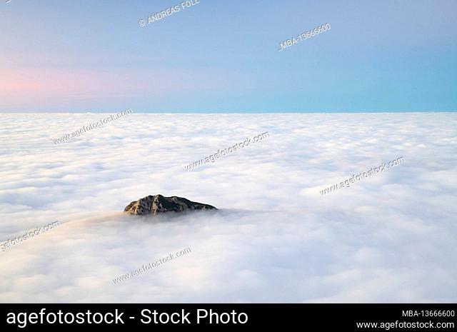 After sunset, the lonely peak of the Rohnenspitze rises out of the sea of clouds. Allgäu Alps, Tyrol, Austria, Europe