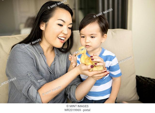 Smiling woman holding a yellow duckling in her hands, her young son watching