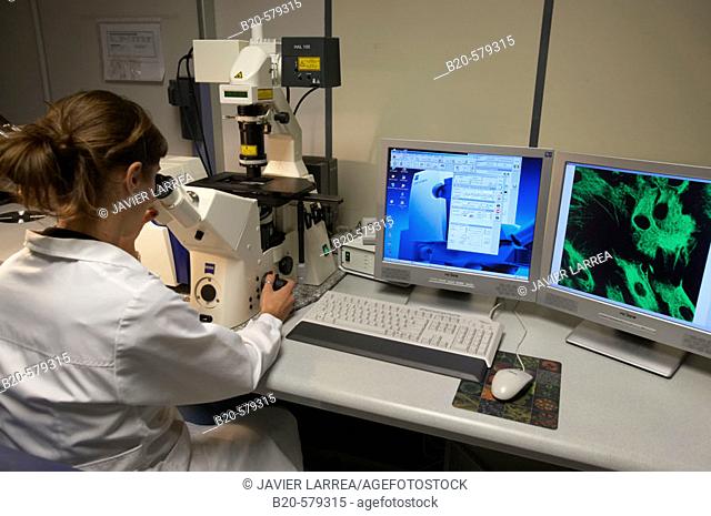 Technical staff working with Zeiss LSM 510 Meta Confocal Microscope. Laboratory, Fundación Inbiomed, Genetrix Group. Center for research in stem cells and...