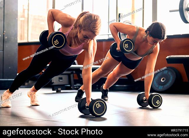 dumbbell, sportswoman, weightlifting, workout