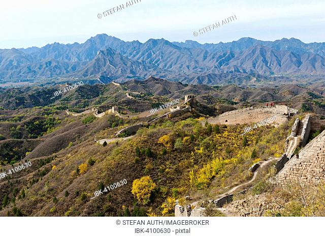 Great Wall of China, historical border fortress, un-restored section, winding through the mountains, autumn, Gubeikou, near Jinshanling, China