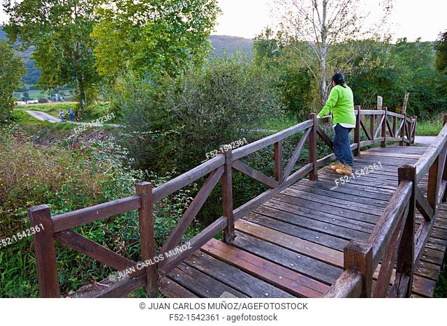 Bridge, Pas River, Cillero Village, Toranzo Valley, Cantabria, Spain, Europe