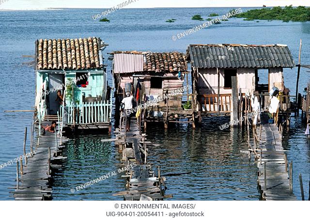 BRAZIL Bahia Salvador da Bahia. Slum dwellings raised above sewage polluted water with access by wooden bridge.