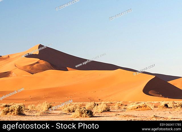 Duenen in der Namib Wueste bis zum Horizont, Namibia, Afrika