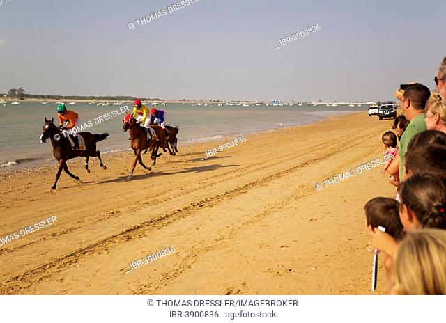 Horse race at the beach of Sanlúcar de Barrameda at the Guadalquivir river mouth, Cádiz province, Andalusia, Spain