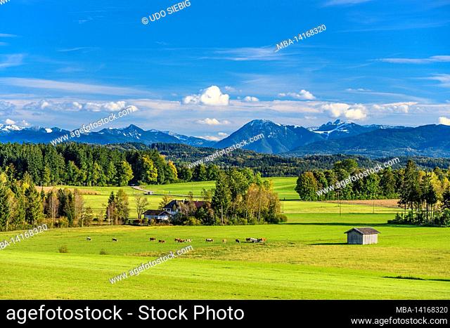 germany, bavaria, upper bavaria, tölzer land, dietramszell, district humbach, cultural landscape against mangfall mountains