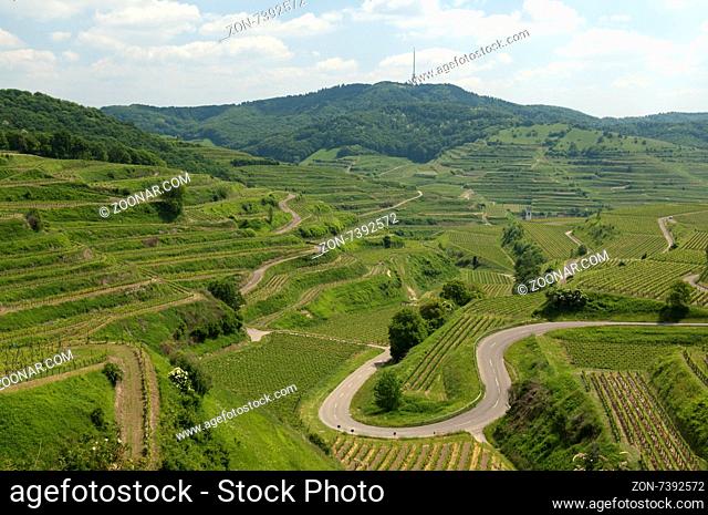 Weinterrassen, Weinanbaugebiet, Weinberg, Terrassen, Kaiserstuhl