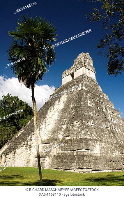 Temple 1 also know as the Jaguar Temple, Tikal National Park, Peten, Guatemala