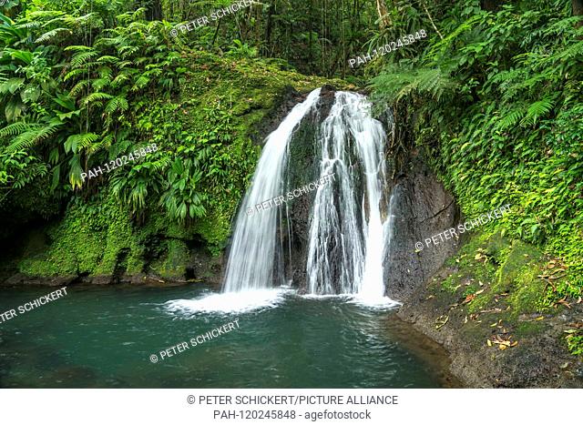 Wasserfall Cascade aux Ecrevisses im Nationalpark Guadeloupe, Basse-Terre, Guadeloupe, Frankreich | waterfall Cascade aux Ecrevisses Guadeloupe National Park