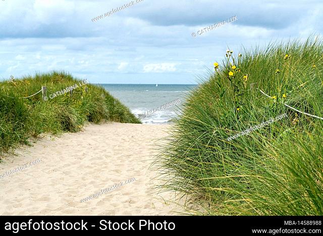 Netherlands, Texel, west coast, bathing beach near De Koog, dune