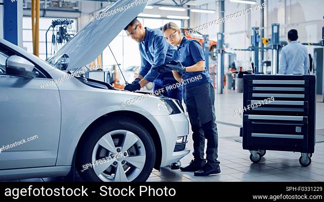 Mechanics inspecting a car
