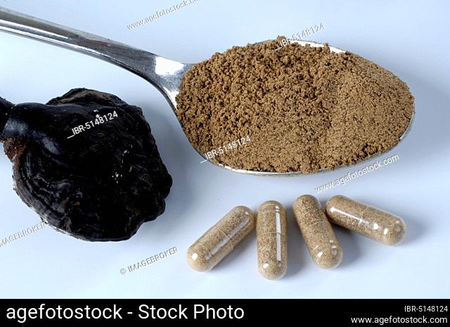 Lingzhi mushroom (Ganoderma lucidum), dried, powder and as capsules, medicinal mushrooms, lacquer porling capsules, lacquer porling powder