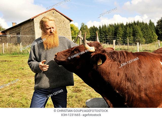 Philippe Demoisson, farmer and gatherer of aromatic and medicinal herbs in the village of Saint-Bonnet-le-Bourg, with a Ferrandaise cattle