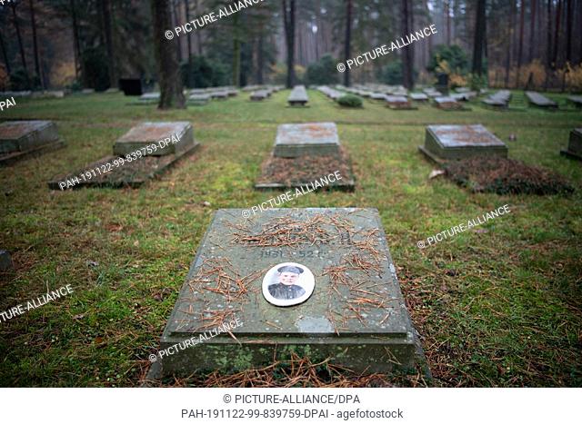 21 November 2019, Brandenburg, Potsdam: Grave cushions and the grave of a young soldier on the Soviet cemetery in a wooded area on Bundesstraße 2 between...