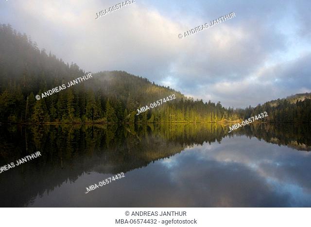 Lake in tree-lined, slightly mountainous landscape with fog, Cape Scott Provincial Park, British Columbia, Canada