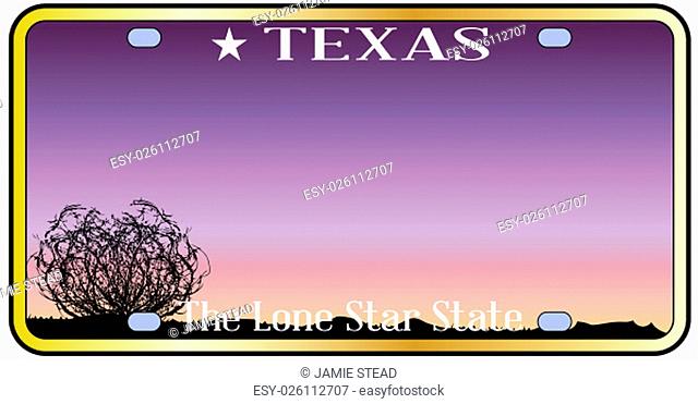 Texas state license plate with sky and desert background