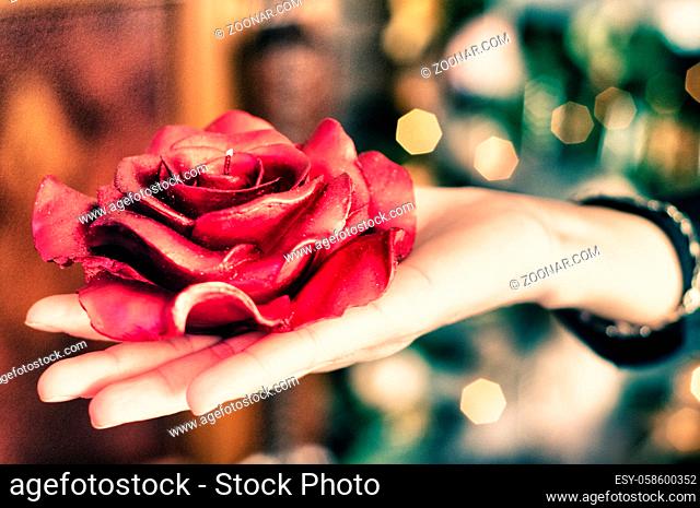 Poinsettia in a Woman's Hand, Italy