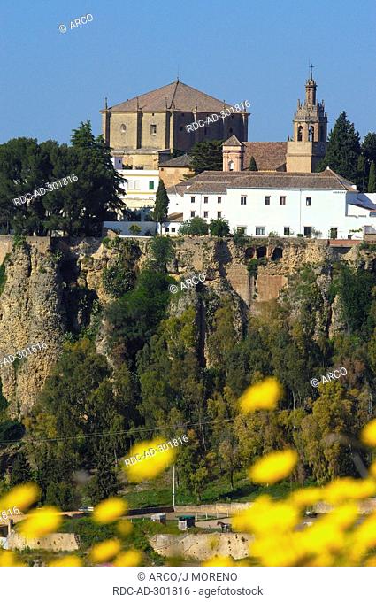 Church Santa Maria La Mayor, Ronda, Malaga province, Andalusia, Spain