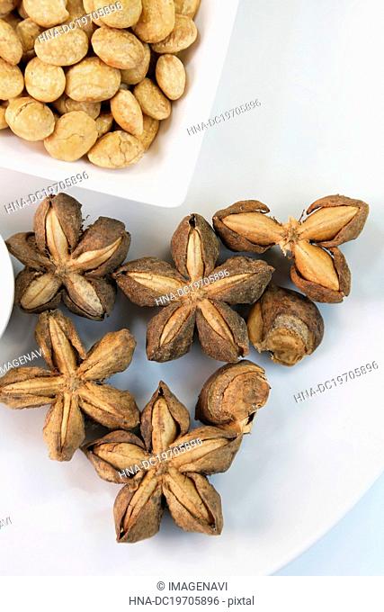 Sacha Inche Nuts