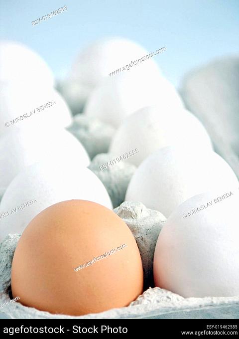 One brown egg in the midst of white eggs