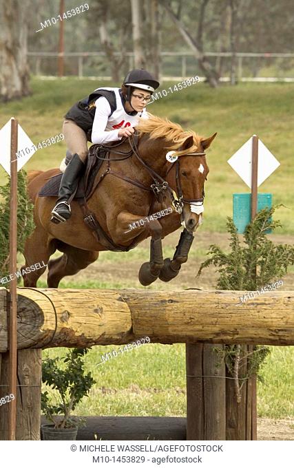 CIC 1-star level rider jumping over the Sunsprite Warmbloods Cross Question jump on crosscountry at Galway Downs Three Day Event