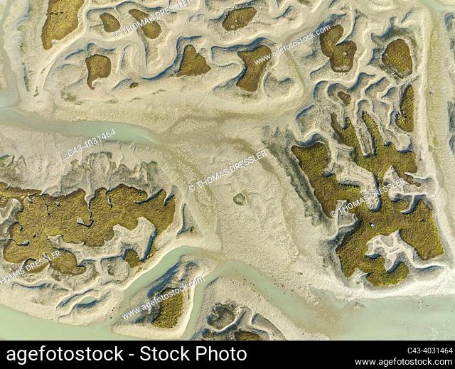 Network of channels and streams at low tide. In the marshland of the Bahía de Cádiz. Aerial view. Drone shot. Cádiz province, Andalusia, Spain