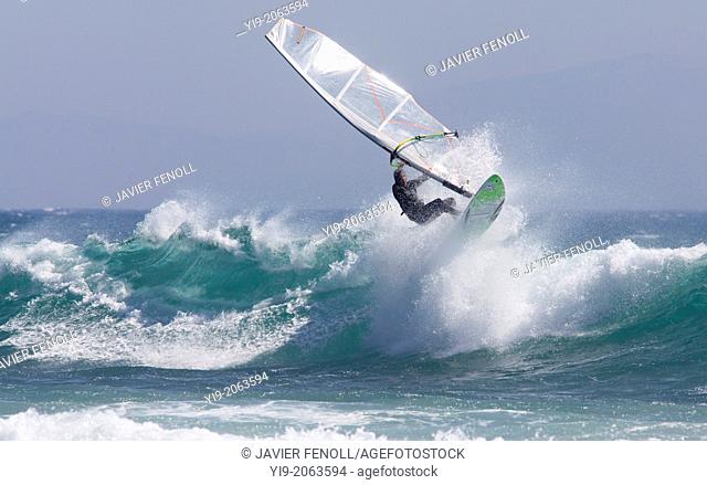 windsurfer surfing a wave