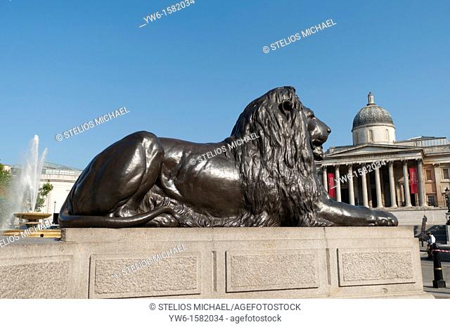 Trafalgar Square Lion, London, England, UK