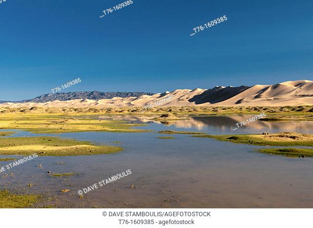 panoramic view of the sand dunes of Khongoryn Els in the Gobi Desert of Mongolia