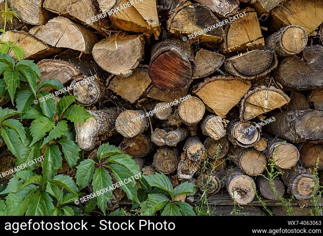 Details of some logs of firewood next to a house in Tírvia (Pallars SobirÃ , Lleida, Catalonia, Spain)