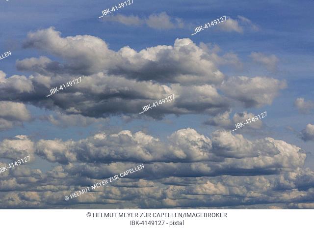 Staggered cumulus clouds, cumulus
