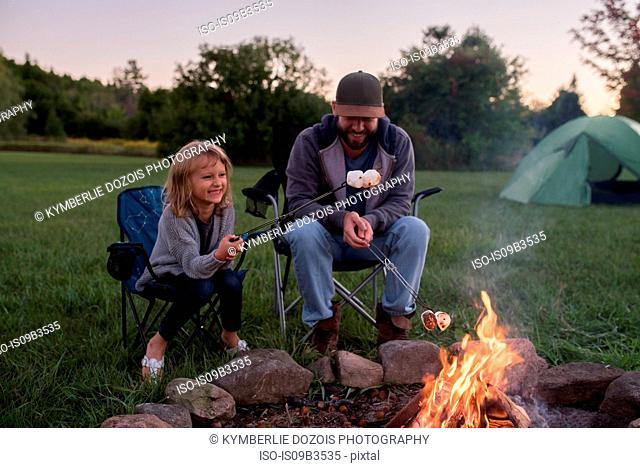 Father and daughter sitting beside campfire, toasting marshmallows over fire