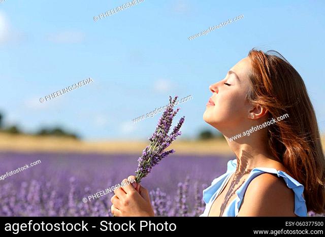 Woman smelling lavender flowers bouquet in a field