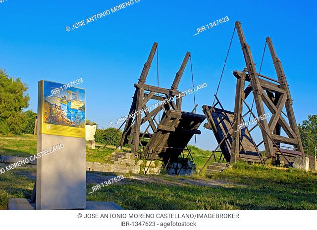 Langlois Bridge, Van Gogh Bridge, Arles, Bouches du Rhone, Provence, France, Europe