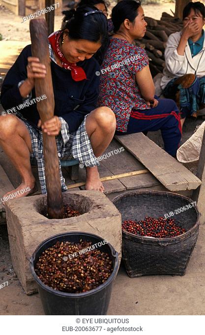 Woman grinding coffee seeds to remove chaff