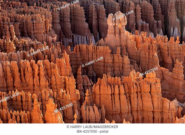 View of Bryce Amphitheater from Inspiration Point, coloured rock formations, fairy chimneys, morning light, Bryce Canyon National Park, Utah, USA