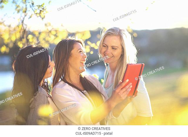 Three young women looking at digital tablet in park