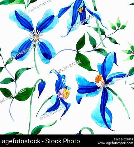 Blue durandii clematis. Floral botanical flower. Seamless background pattern. Fabric wallpaper print texture. Aquarelle wildflower for background, texture