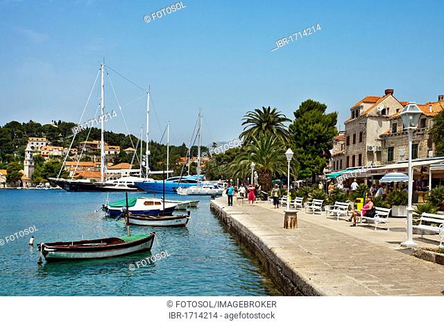 Promenade, fishing village of Cavtat, Dubrovnik, Dalmatia, Croatia, Europe