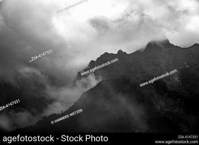 Dramatic fog in the mountains of Madeira, Portugal