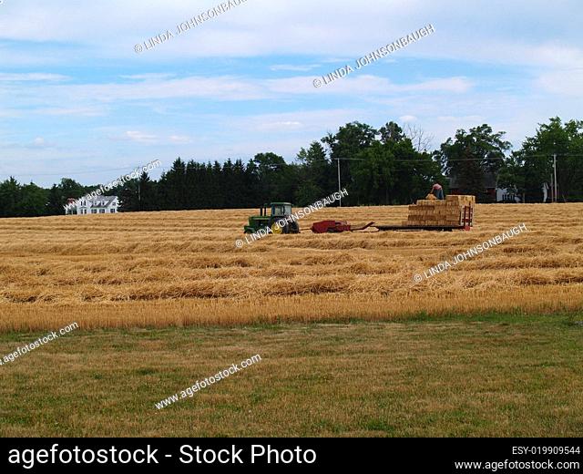 Tractor and Baler in a Field of Freshly Cut Wheat