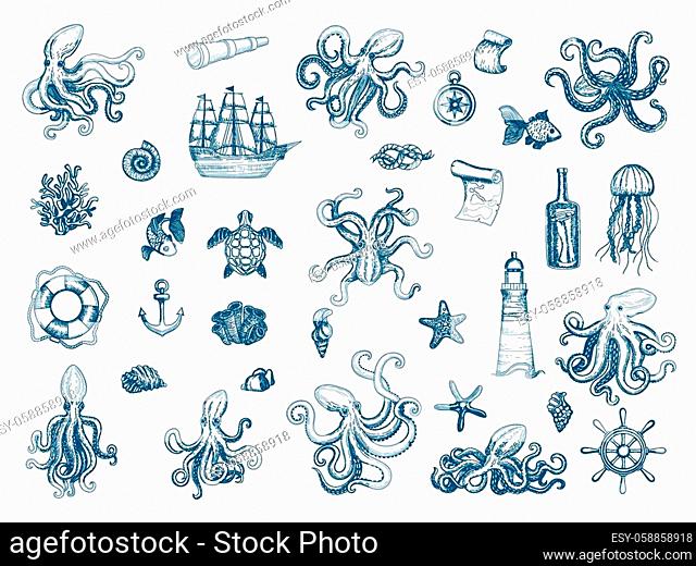 Marine illustrations. Octopus nautical set wild squid shells monster kraken vector hand drawn collection. Octopus monster, seafood and jellyfish illustration
