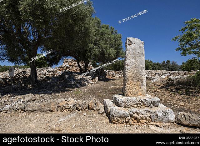 menhir tribute to J. Corominas Roca, prehistoric settlement of Capocorb Vell, Llucmajor, Mallorca, Balearic Islands, Spain