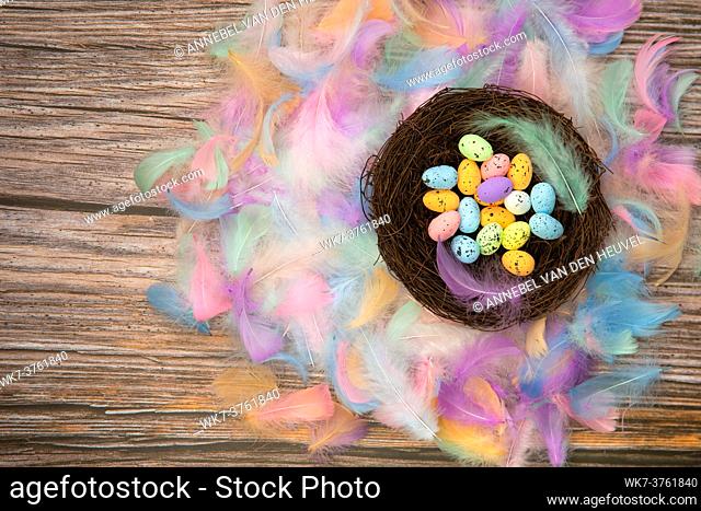 Colorful bright easter eggs in bird nest with Pastel colored feathers and wooden background texture top view, Copy Space, Spring, Easter Holliday