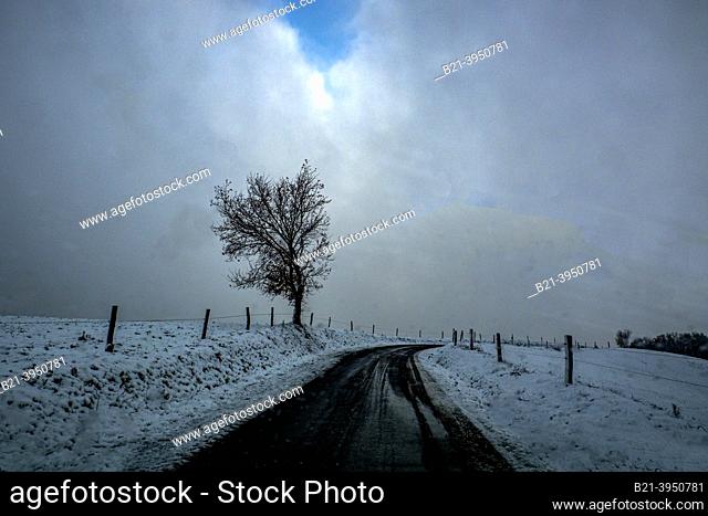 France-Auvergne Rhone Alpes- Cantal-  winter near Boisset